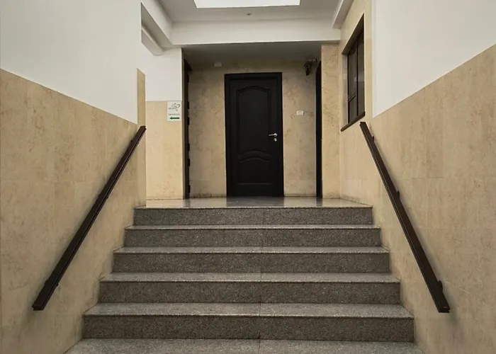 Downtown Forest Boutique * Bucureşti