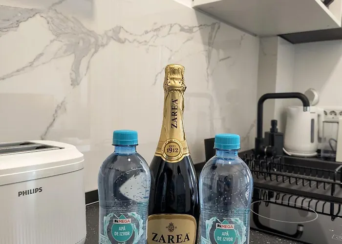 Downtown Forest Boutique